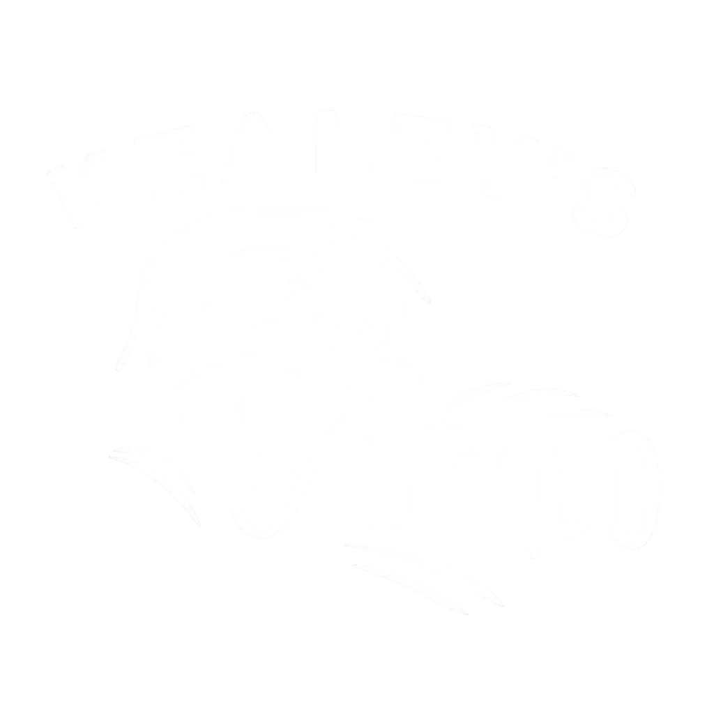 Kealey's Kachoo logo illustrating dryer vent cleaning services and marketing results.